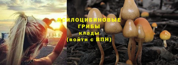 кокс Дмитров