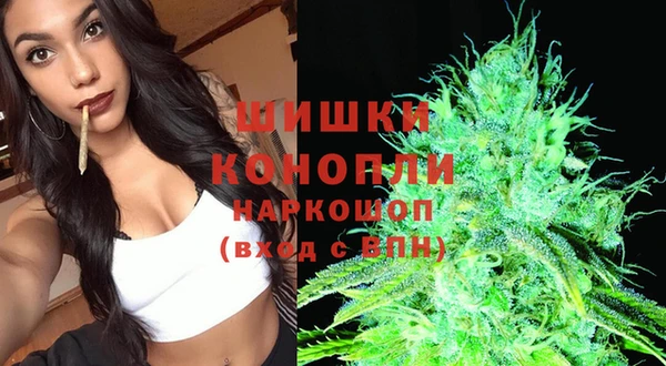 кокс Дмитров