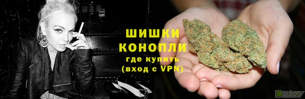 кокс Дмитров