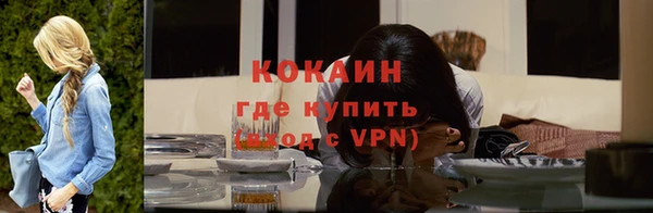 кокс Дмитров