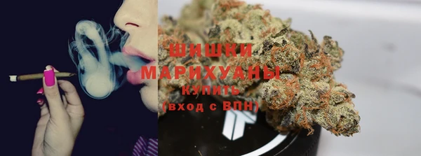 кокс Дмитров