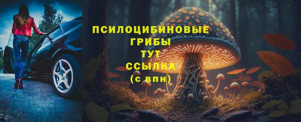 гидра Нефтекумск