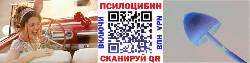 omg tor Козловка Псилоцибиновые грибы ЛСД наркошоп